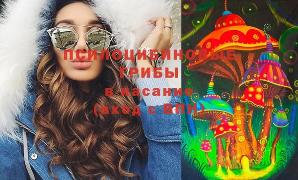 амф Абаза