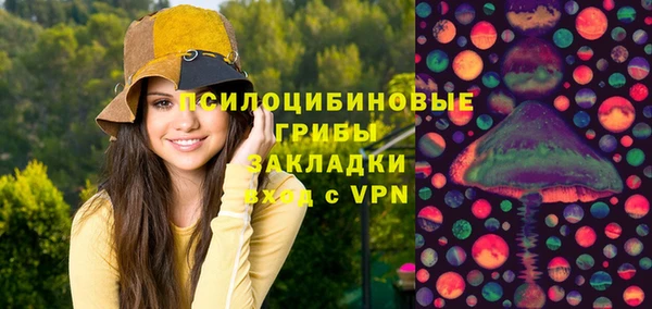 гидра Заволжск