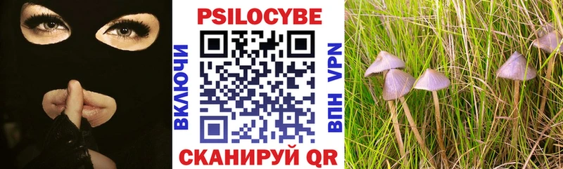 наркошоп  Ярославль  Галлюциногенные грибы мухоморы 