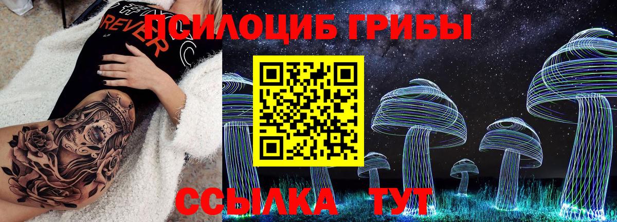 Псилоцибиновые грибы Psilocybine cubensis Ярославль
