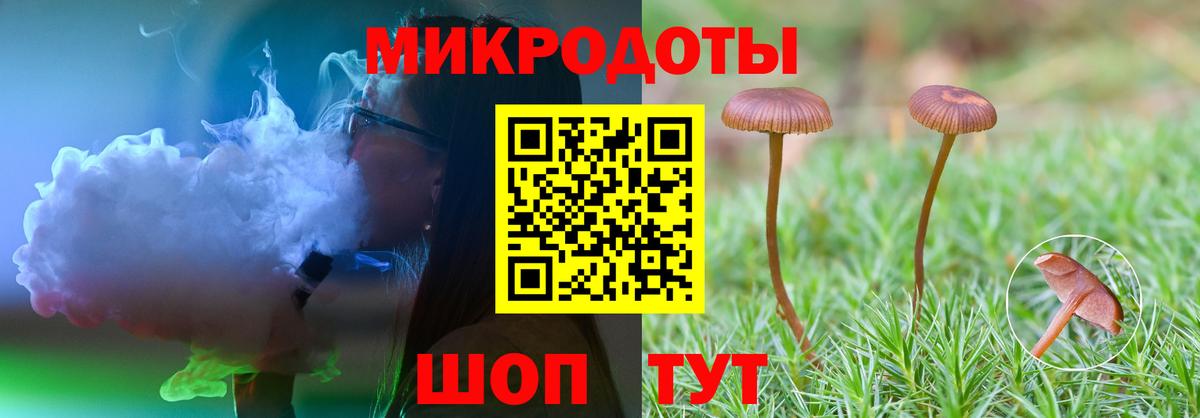 Ярославль  Псилоцибиновые грибы прущие грибы  Вход с VPN  Псилоцибиновые грибы Psilocybe 